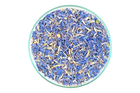 Chaber Bławatek Niebieski Kwiat